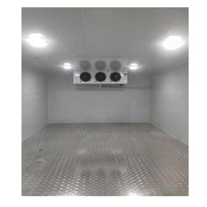 Fabrikant Solar Walk-In Koude Vis Opslag Vriezer Met Motor En Lager 20/40 Voeten Container Koude Ruimte Voor Compressor - Product Image 2