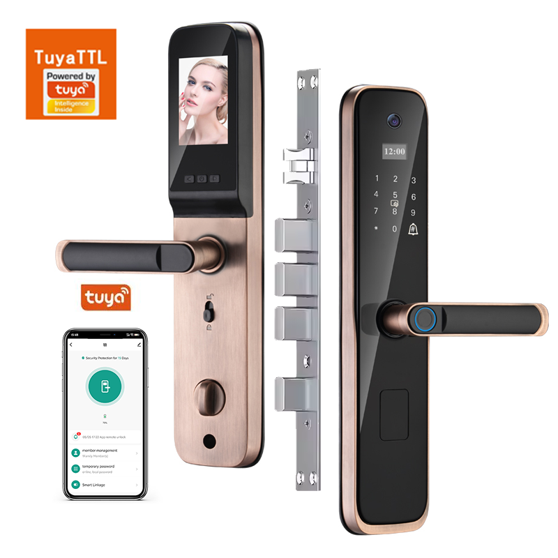 Factory Wholesale Tuya Smart Door Handle Lock Electric Keyless Fingerprint Access Memory Card for Wood Steel WiFi Connectivity · image 3