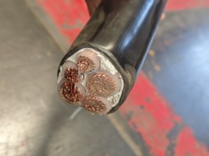 N2XY YJV 3 * 120MM ² CU/XLPE/PVC 0.6/1kv電源ケーブル - Product Image 4