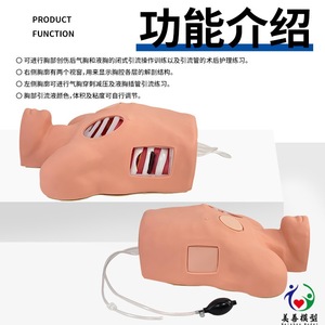 Modèle de drainage thoracétique ; Modèle de thoracoscopie ; Modèle de traitement de la zone pleurale fermée pour le pneumothorax. - Product Image 3