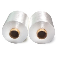 High Tenacity Nylon Yarn for Industrial Use