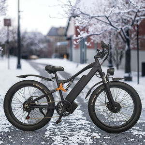 <span class=keywords><strong>Bicicleta</strong></span> de nieve eléctrica de Doble accionamiento de <span class=keywords><strong>26</strong></span> pulgadas con baterías duales de litio de 48V Ciclomotor eléctrico de 29 pulgadas <span class=keywords><strong>Bicicleta</strong></span> eléctrica de 29 pulgadas - Product Image 5