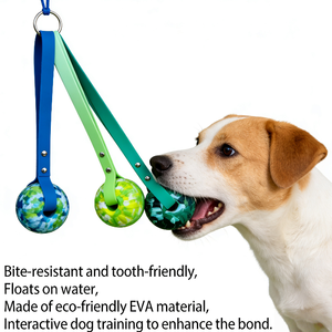 Palla Cava in EVA Ecologica da 7cm/9cm con Corda in PVC, Giocattolo da Masticare alla Moda per Cani, per la Pulizia dei Denti e Contro la Noia - Product Image 4
