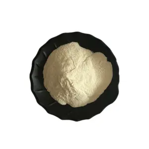 Wholesale Supply Feedgrade 2400gdu Bromelain Extract Powder Supplement