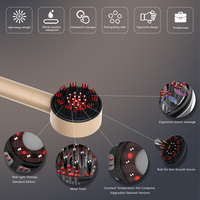 Brosse Masseur Électrique pour Cuir Chevelu à Lumière Rouge et Applicateur d'Huile Capillaire, pour Usage Domestique