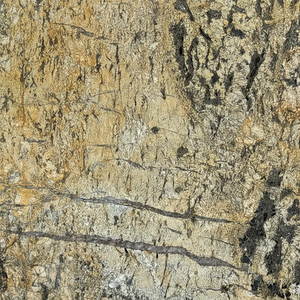 Revêtement mural de cuisine de luxe direct d'usine granit doré exotique élégant salon de villa en pierre de quartzite beige doré - Product Image 1