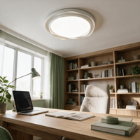 Plafonnier LED AC à spectre complet, design moderne, structure en fer, 220V, commande par interrupteur, IRC 97, garantie 2 ans, 50000 heures, pour chambre à coucher