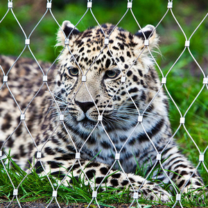 Dây Thép Không Gỉ Sợi Dây Thừng SS 304 316 Zoo Hàng Rào Lưới Cáp Linh Hoạt Dây Lưới Cho Chim Chuồng Nhà Máy Leo Lên Dệt Đồng Bằng Dệt - Product Image 1