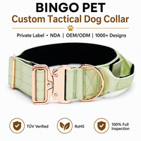 Collier tactique pour chien avec boucle or rose, poche pour AirTag, rembourrage doux, nylon réglable, marque personnalisée pour l'entraînement, la promenade et la randonnée