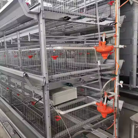 Poulailler à bas prix cage à volaille longue durée couche équipement de ponte pour ferme avicole Jaula Para Pollos Cage Para Manok