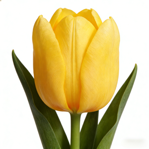 Bouquet di Tulipani in PU di Alta Qualità, Fiori Artificiali Multicolore in Stile Moderno, Vendita all'Ingrosso per Laurea e Festa della Mamma - Product Image 3