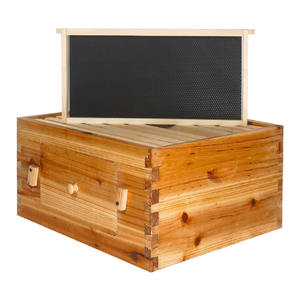 Colmena de <span class=keywords><strong>Abejas</strong></span> Tipo Australiana Langstroth ZHILI BEE, Nueva, Hecha en China, Madera de Abeto, 3 Meses de Garantía, 24 kg, Modelo MZJ-092 <span class=keywords><strong>para</strong></span> Equipamiento - Product Image 3