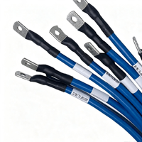 Harness Kabel Berinsulasi Biru Tugas Berat Khusus dengan Konektor Tembaga Berulir untuk Kabinet Kontrol, Peralatan Tenaga, Modul Energi Baru