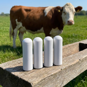 Étiquettes RFID d'identification animale HDX Bolus Ruminal Tag 134,2 KHz, implant biocéramique pour bovins, buffles, <span class=keywords><strong>angus</strong></span>, taureaux Em4305, gestion du bétail - Product Image 2
