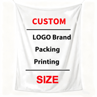 Couverture en flanelle 100% polyester de luxe, couverture polaire douce et chaude toute saison, couleur unie, logo personnalisé en gros pour la maison, ODM&OEM