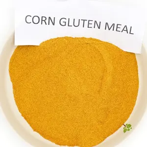 Tốt nhất bán Ngô bữa ăn Gluten thức ăn cho động vật Nhà cung cấp chất lượng cao cgm ánh sáng màu vàng bột 60 protein
