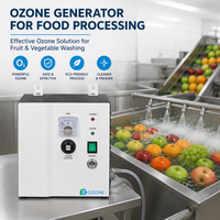 Generator Ozon Portabel Flygoo 8G dengan Output Sinyal 4-20mA untuk Pengolahan Makanan & Disinfeksi Buah dan Sayuran