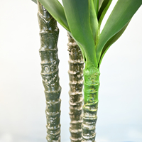 Plante artificielle réaliste en sisal de 160 cm, ornement en plastique pour salon intérieur, aménagement extérieur, décoration en gros