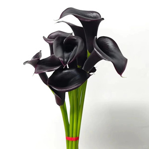 Lys Calla colorés, fleurs naturelles pour <span class=keywords><strong>mariée</strong></span>, fête des mères, Saint-Valentin, Yunnan Kunming, cheveux raides - Product Image 3