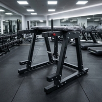 Machine de musculation commerciale à hyper-extension inversée, à charge de plaques en acier, résistance réglable, pour entraînement de la hanche, du dos et des jambes, pour la musculation corporelle