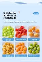 Populaire multifunctionele automatische elektrische druiven-, sinaasappel-, citroen- en mandarijnsnijder/schiller. Bespaart tijd, ideaal voor ontbijt en snacks.