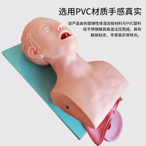 Simulateur d'entraînement à l'intubation endotrachéale Jike, modèle d'intubation endotrachéale pour adultes - Product Image 1