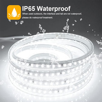 Guirlandes lumineuses en cuivre, prise EU 220V, 8mm, IP67, haute luminosité, étanches, télécommandées, à intensité variable, pour éclairage de chambre, de salon et de cuisine
