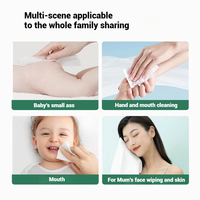 Tisu Basah Bayi Label Pribadi OEM 99% Air Hipoalergenik Bebas Alkohol untuk Kulit Sensitif Pabrik