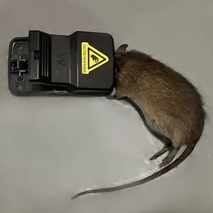 High Quality Reusable 6 Pack ABS + PS + Steel Wire Mouse Trap, Efficient Rat Catcher Snap Trap for Indoor and Outdoor Use