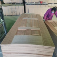 Peau de porte panneau de bois porte panneaux de porte en fibre de carbone, peau de porte de moule, peau de porte HDF moulée