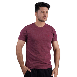 T-shirt personnalisé T-Shirt décontracté pour hommes 100% coton biologique 200g Design vierge avec motif imprimé T-shirt en polyester/coton - Product Image 1