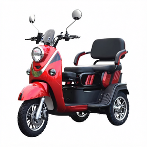 Nouveau tricycle électrique compact <span class=keywords><strong>pour</strong></span> passagers, 3 roues, 3 vitesses, 600W, 48V, cadre en acier, scooter - Product Image 4