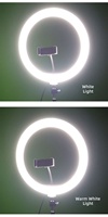Ring Light Plastik 12 Inch dengan Holder Ponsel, Kit Pencipta Konten Video Profesional, Peralatan Pemotretan Studio LED untuk Siaran Langsung