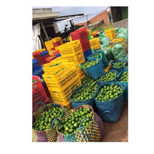 Lima sin semillas - Product Image 1