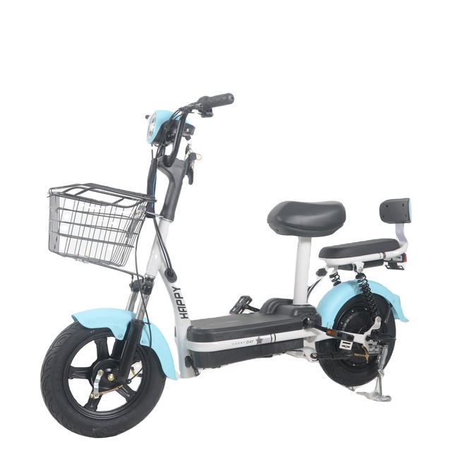 OEM High-Power 350W Two-Wheeled Electric E-Bike 3-Speed 48V Sensor Rear Hub Motor Steel City Bike Urban Riding Smart Features