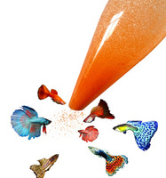 Oeufs de crevettes en saumure décapsulée Nourriture pour poisson Nourriture nutritionnelle pour poisson