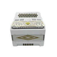 Accordéon diatonique professionnel SEASOUND 34 boutons 12 basses 3 registres Corps blanc brillant Grille dorée Boutons dorés JB3412C Bois