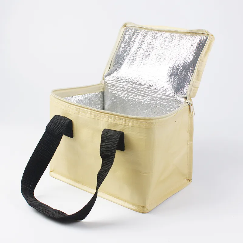 कस्टम लोगो प्रचार पुन: प्रयोज्य थर्मल इन्सुलेशन बैग छोटे 6 गैर बुना अछूता दोपहर के भोजन के कर सकते हैं कस्टम कूलर बैग