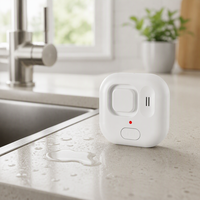 Alarme de fuite d'eau intelligente Tuya, alarme WIFI pour téléphone portable, capteur d'alarme de débordement, capteur d'alarme de fuite d'eau