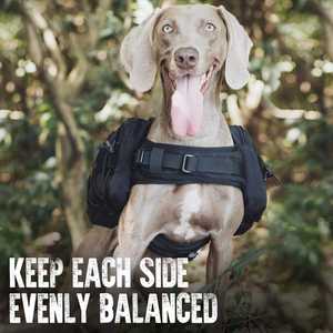 Kustom grosir kualitas tinggi perjalanan luar ruangan dapat disesuaikan hewan peliharaan kucing <span class=keywords><strong>Harness</strong></span> ransel ransel anjing taktis <span class=keywords><strong>Harness</strong></span> ransel - Product Image 6