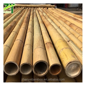 Pólo De Bambu Cru De Grande Diâmetro, pólos De Bambu Grande Uso De Construção De Alta Qualidade, polos De Bambu Moso De China Tamanho Feito Sob Medida - Product Image 1