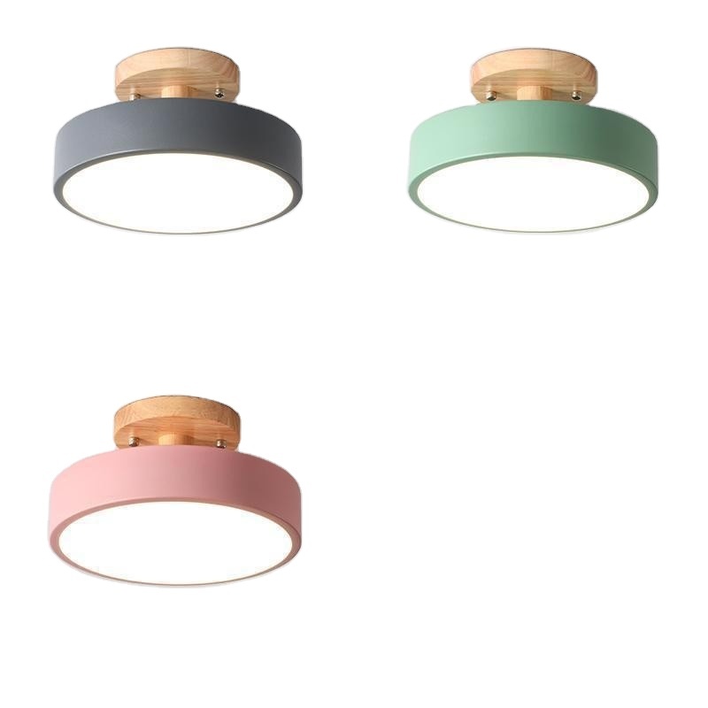 Top Sale Middle Modern Chandelier Ceiling Light Colorful Ceiling Lamp for Home Decoration