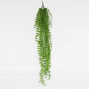 MZ187018A Zhejiang decoración orquídeas flores decoración Chiba Chlorophytum paquete - Product Image 1