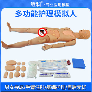 Mannequin d'entraînement infirmier multifonctionnel avancé pour la perfusion intraveineuse et le cathétérisme, vente directe du fabricant - Product Image 2