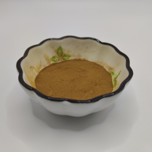 Top Quality Citrus Aurantium Pó Food Grade Natural Citrus Aurantium Extrato Em Pó Amargo Extrato De Casca De Laranja Em Pó - Product Image 1