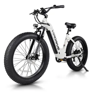 USA Stock 48V 15AH 750W Lithium Battery Fat Tire Mountain Ebike Multi Mode LCD Display Sport Ebike For Adults Electrical Bike