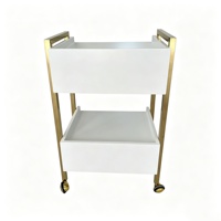 Chariot de luxe pour salon de beauté, chariot de gestion des soins cutanés avec étagère, chariot à outils en métal et plastique, chariot de salon doré avec roulettes