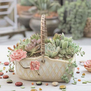 Panier de fleurs en rotin, Pot de fleurs succulentes à main, Pot de plante verte en céramique, décor d'intérieur, Pot de jardinière, Pot de poterie - Product Image 2