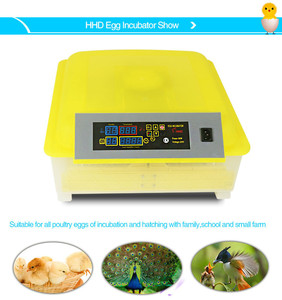 Incubadora de Huevos de Gallina Eléctrica <span class=keywords><strong>Mini</strong></span> Automática para Uso Doméstico, Máquina para Incubar <span class=keywords><strong>56</strong></span> Huevos - Product Image 5