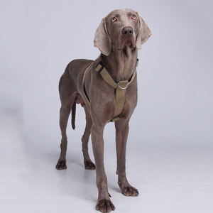 New H Typ Luxus personal isierte Haustier Weste Brust geschirr Hund Geh geschirr Explosions geschützte verstellbare atmungsaktive Legierung Geschirr - Product Image 3